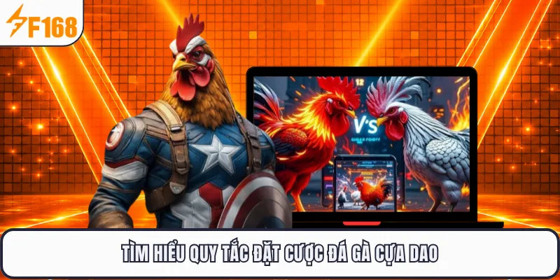 Tìm hiểu quy tắc đặt cược đá gà cựa dao